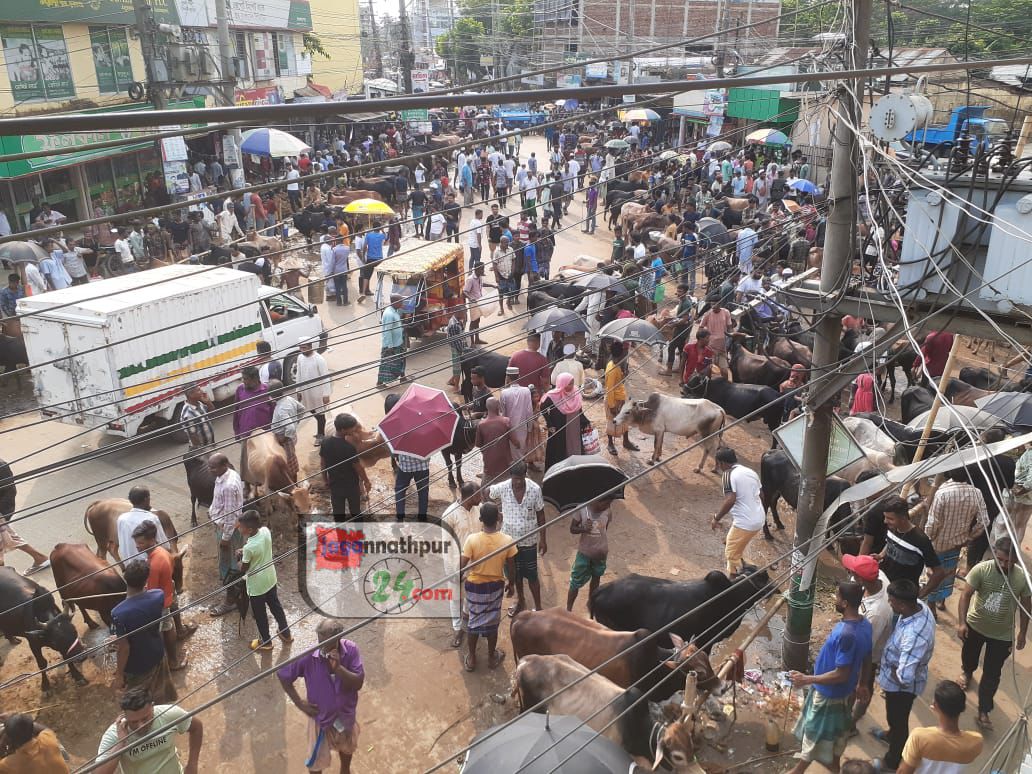 কোরবানির হাট, গরু আছে, ক্রেতা নেই