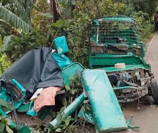 চিকিৎসা শেষে বাড়ি ফেরার পথে ট্রাক ও অটোরিকশার সংর্ঘষে প্রাণ গেল নারীর